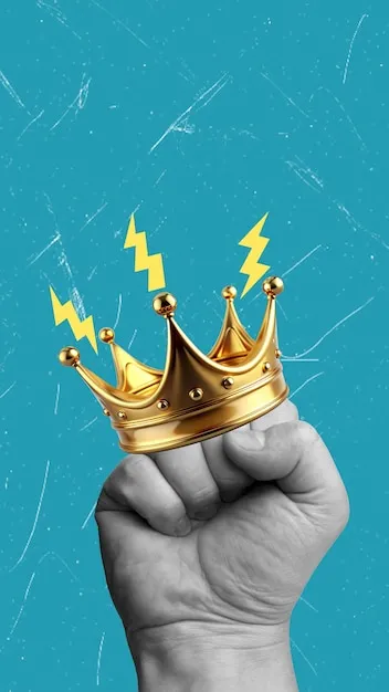 使用指引与时间表